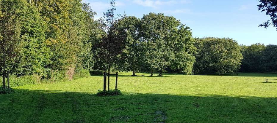 zonneweide amsterdamse bos blootgewoon nfn