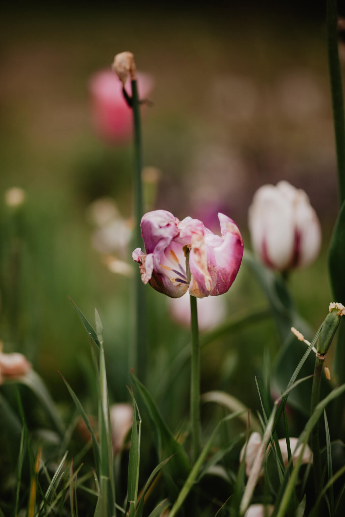 Elke-Smit-Photography-89