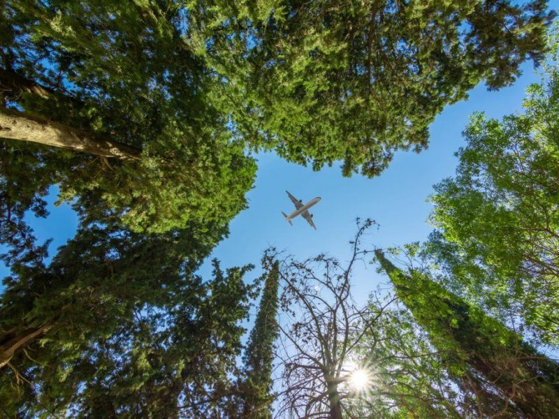 Airplane flying above the forest, bottom view