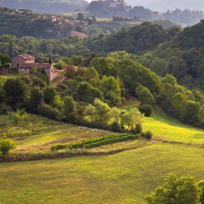 French Landscape