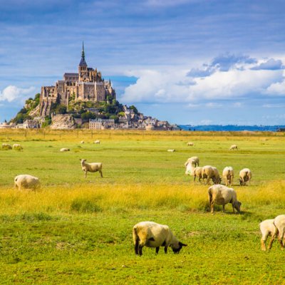 Beautiful view of famous historic Le Mont Saint-Michel tidal island with sheep grazing on fields of fresh green grass on a sunny day with blue sky and clouds in summer, Normandy, northern France