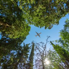 Airplane flying above the forest, bottom view