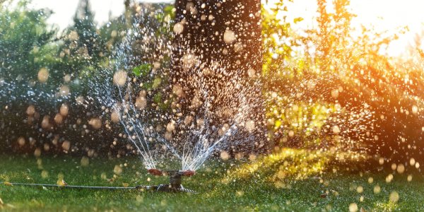 Landscape automatic garden watering system with different rotating sprinklers installed on turf. Landscape design with lawn and fruit garden irrigated with smart autonomous sprayers at sunset time.