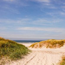 Summer in the dunes