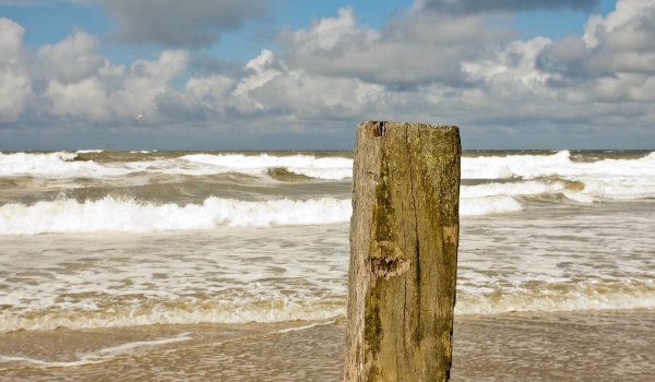 Nieuwsbericht Hoek van Holland